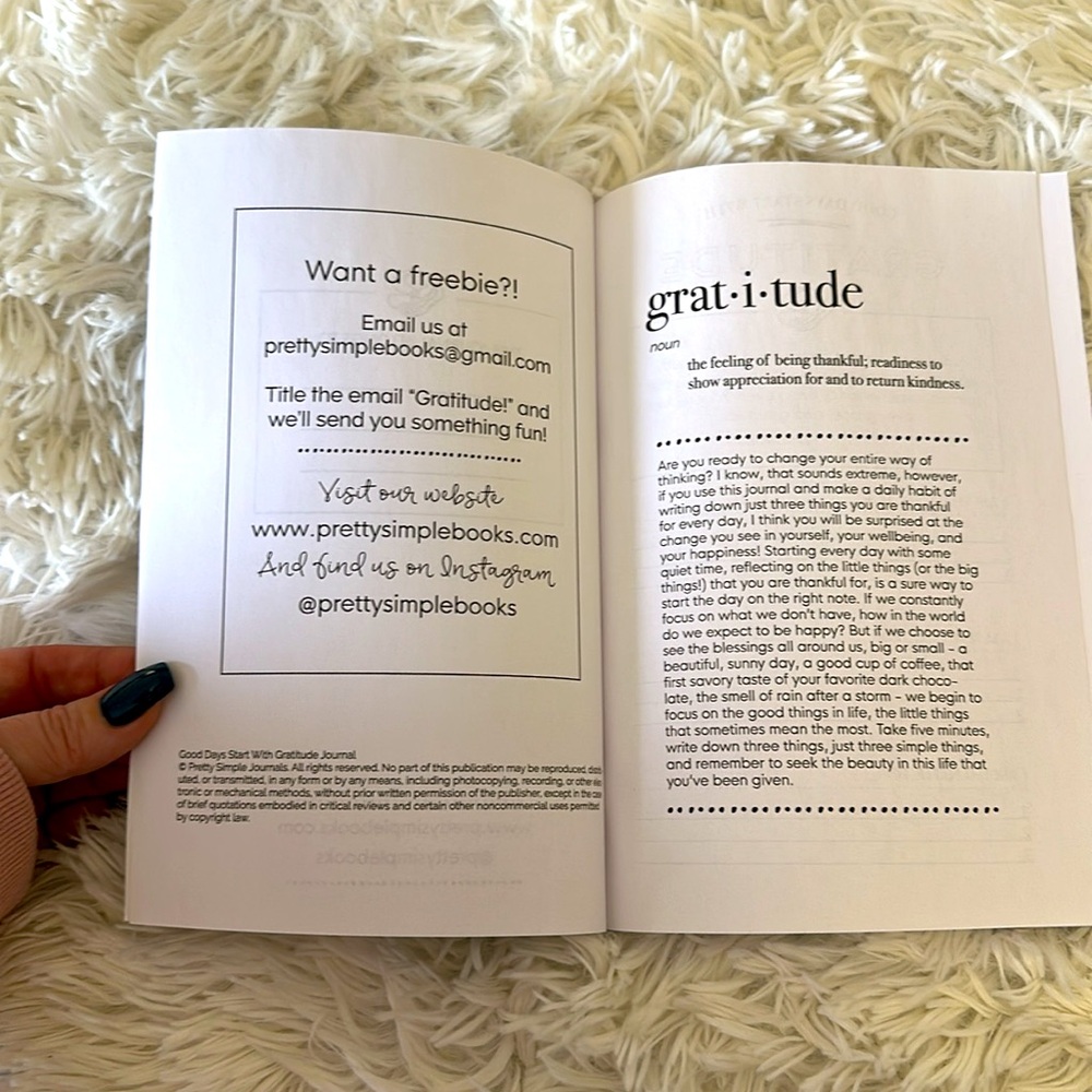 Gratitude Journal - Picture 3 of 5